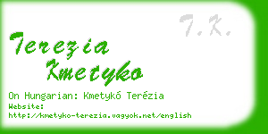 terezia kmetyko business card